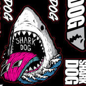 [그래피커] Shark dog-POINT-02 자전거 포인트 스티커